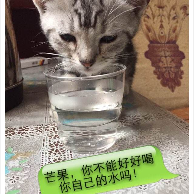 学位网如何打印学位电子认证报告