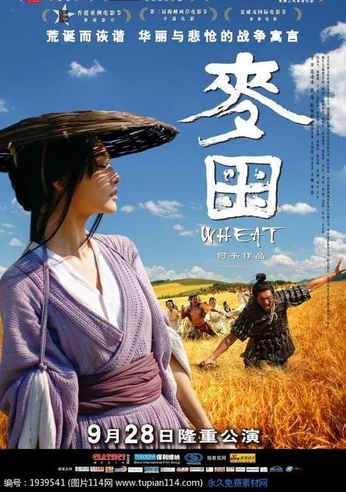 学位证的证书编号